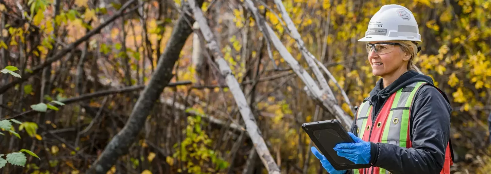 Person in safety gear using a tablet while standing in a wooded area with autumn foliage.