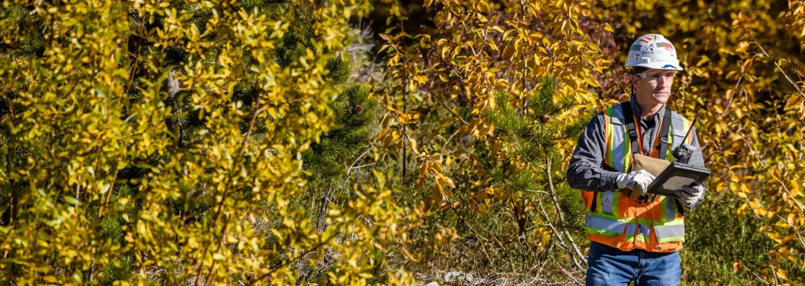 Person in safety gear surveying in a forest with autumn foliage.