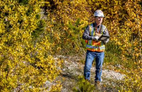Worker in safety gear uses tablet in forested area with autumn foliage.
