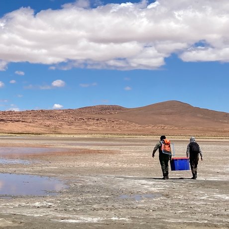 Two people carrying a blue box across a vast, dry landscape with mountains and clouds in the distance.