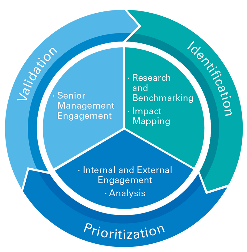 Annual Materiality Process